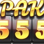 PAK555 Game